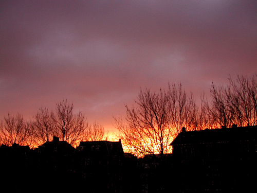 Photography by Phatal for DesignCrowd (Community Contests) | Design #9101763