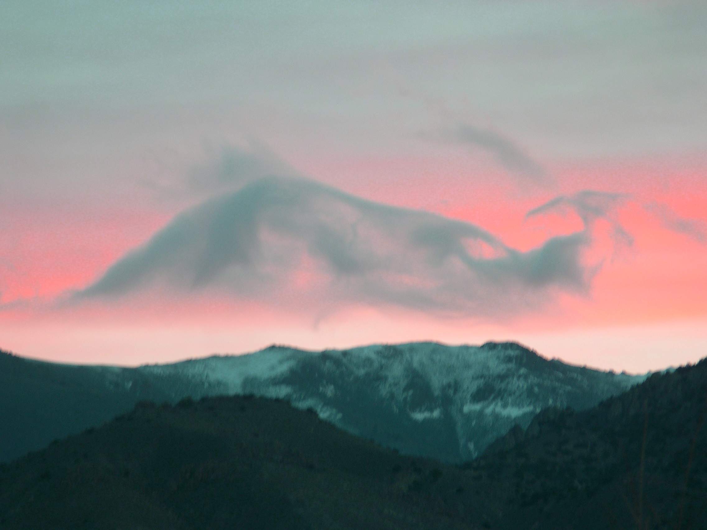 Fotografía por PINKPEPPER para DesignCrowd (Community Contests) | Diseño #9102004