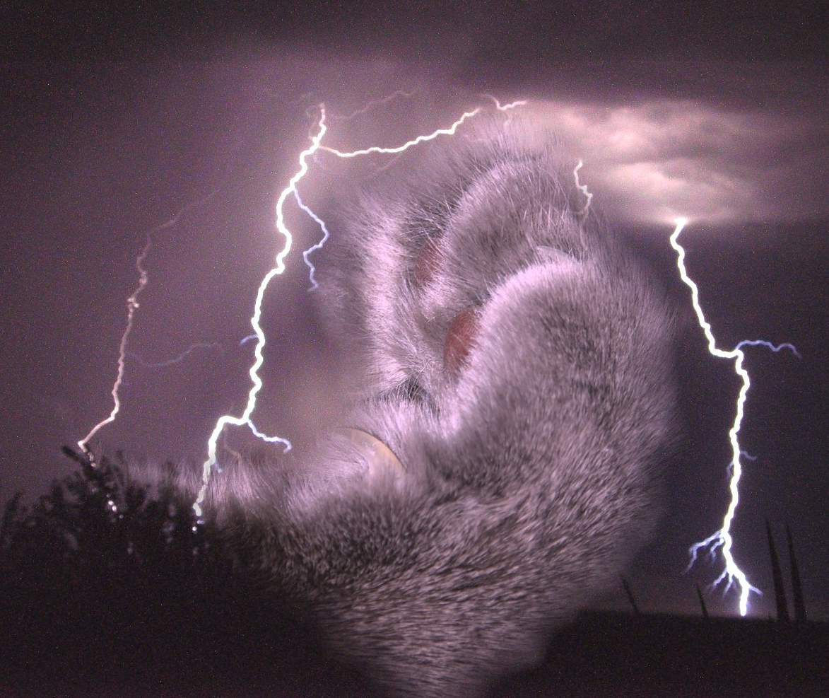 Fotografía por PINKPEPPER para DesignCrowd (Community Contests) | Diseño #9108272