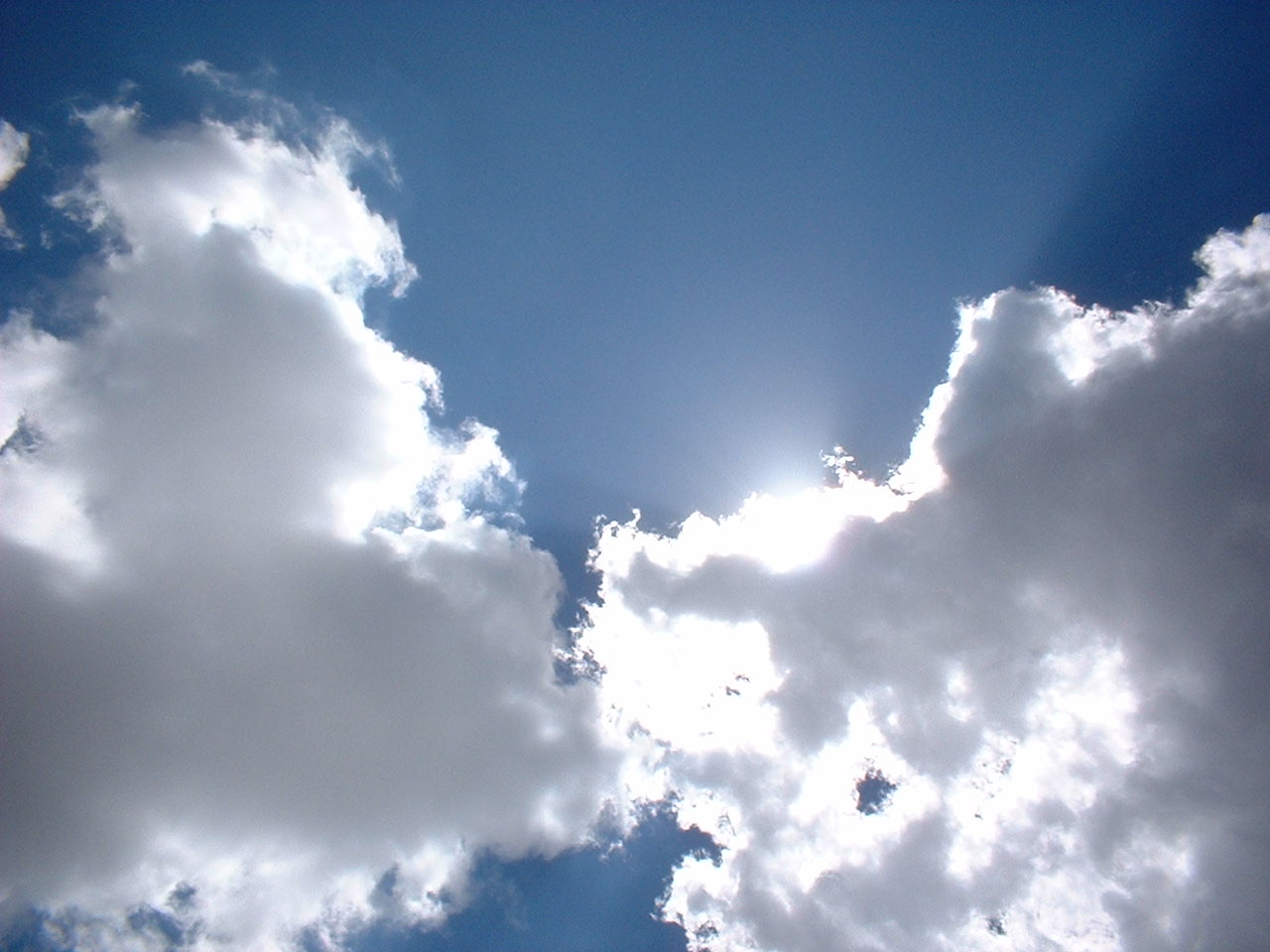 Fotografie von lmiranda für DesignCrowd (Community Contests) | Design #9101901