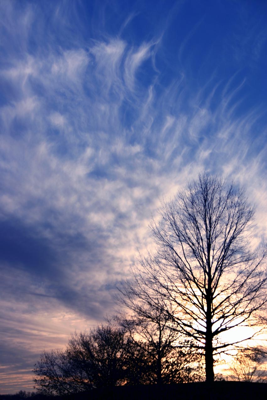 Photography by rdchdwck for DesignCrowd (Community Contests) | Design #9101835