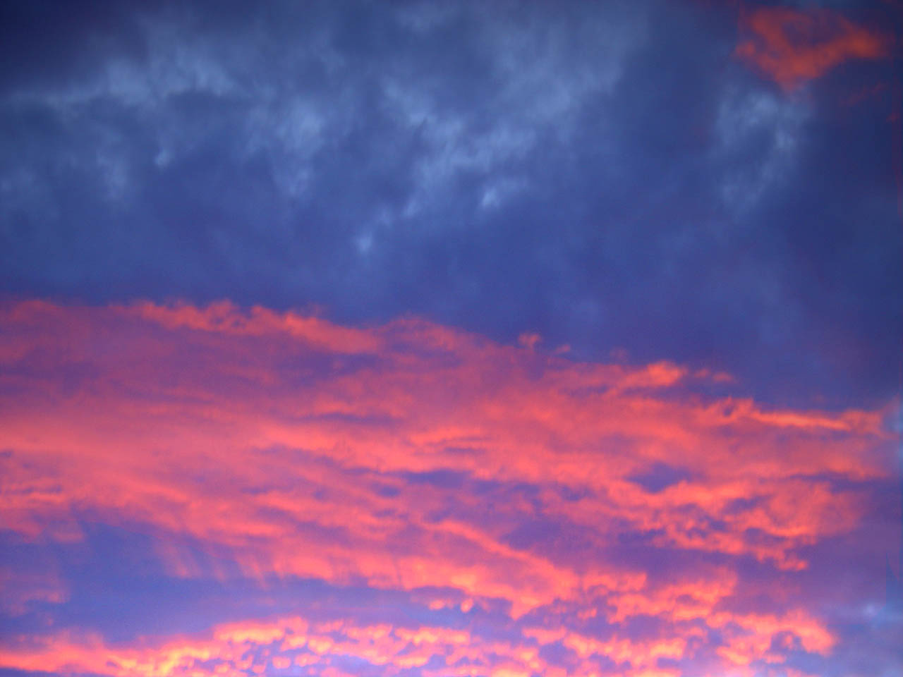 Photography by cccvrcak for DesignCrowd (Community Contests) | Design #9101995