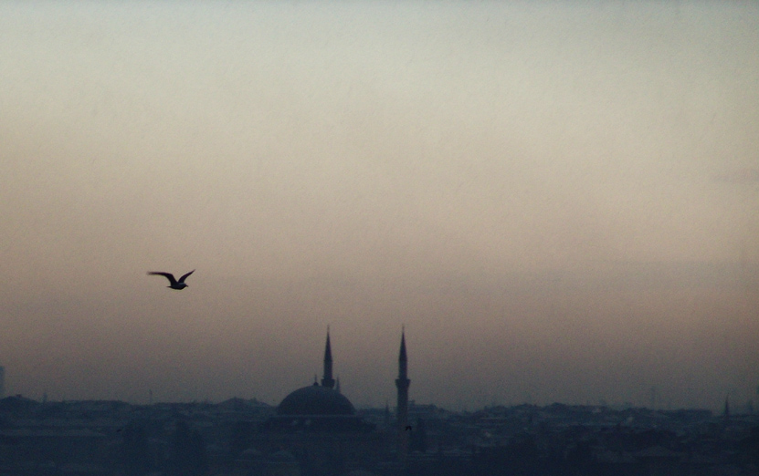 Fotografía por Dziedzic para DesignCrowd (Community Contests) | Diseño #9101873