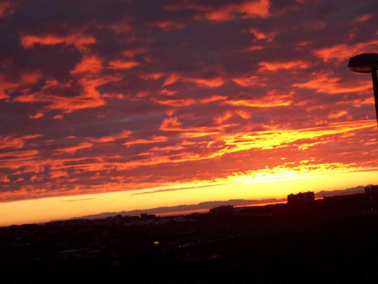 Photography by Maddyy for DesignCrowd (Community Contests) | Design #9101975