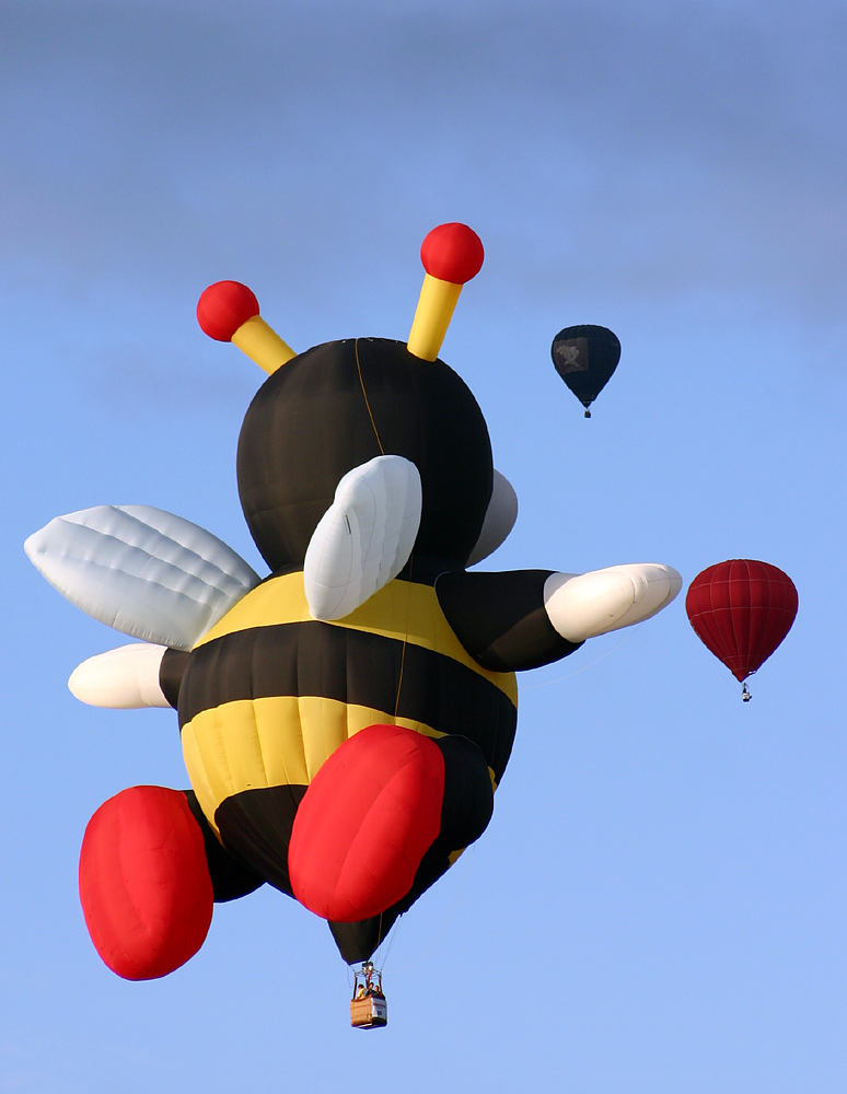 Fotografía por SigloV para DesignCrowd (Community Contests) | Diseño #9081633