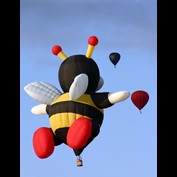 Photography by SigloV