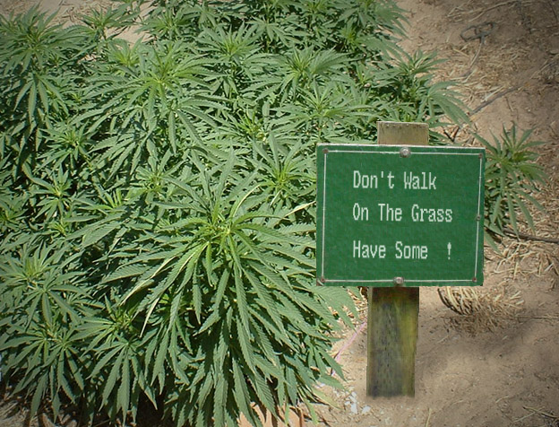 Photoshop Design by PinoKyo for DesignCrowd (Community Contests) | Design #9107323