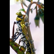 Photoshop Design by chris_