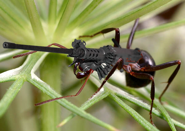 Photoshop-Design von BrianOBlivion für DesignCrowd (Community Contests) | Design #9080432