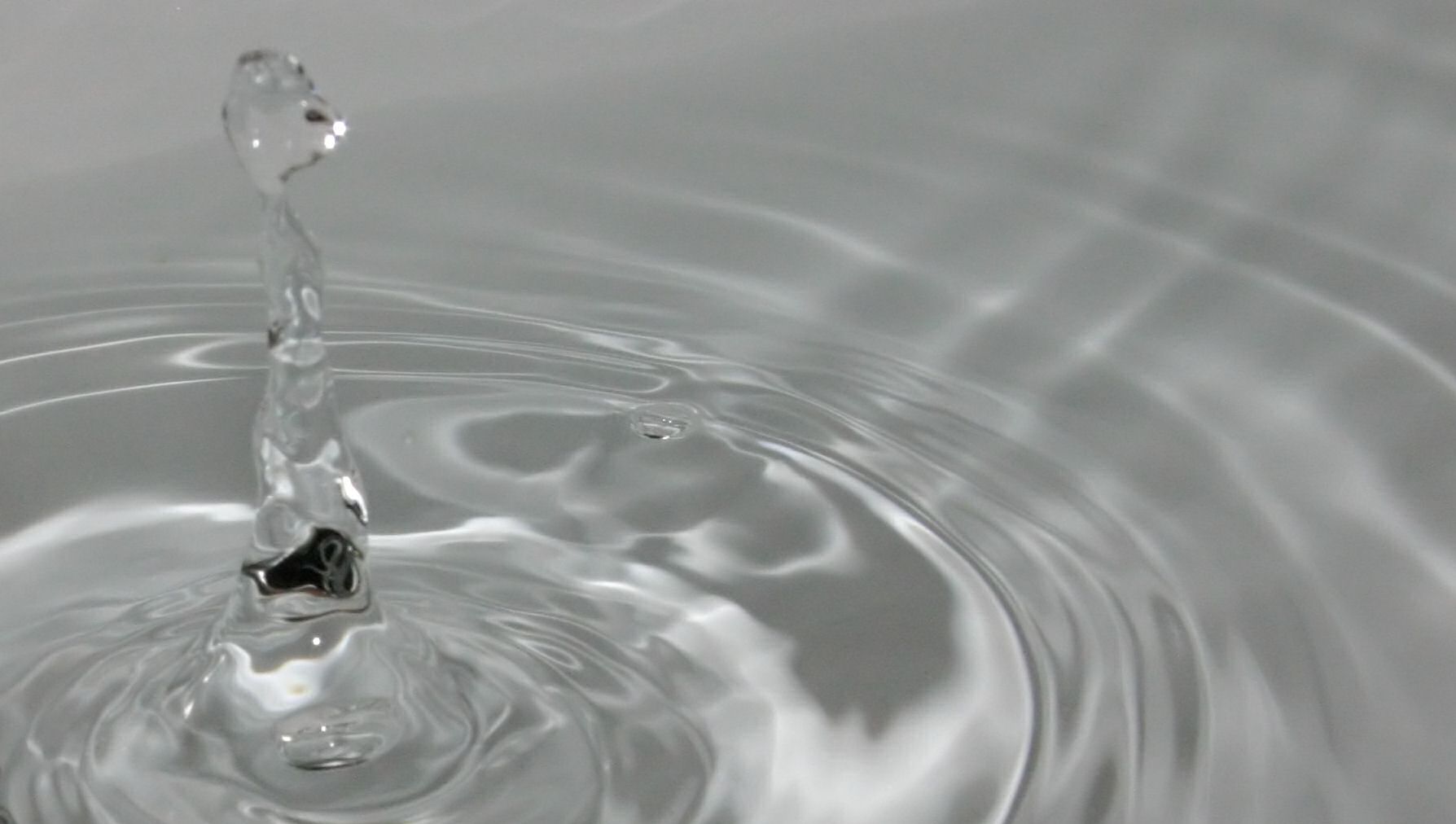 Fotografie von DoggySpew für DesignCrowd (Community Contests) | Design #9081681