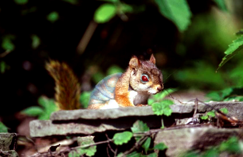 Photoshop Design by luker82 for DesignCrowd (Community Contests) | Design #9080575