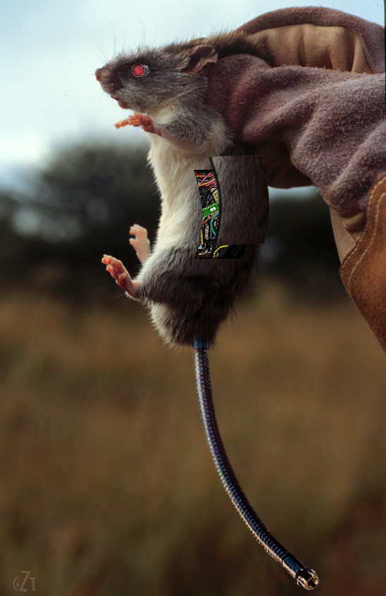 Design Photoshop par godzillatemple pour DesignCrowd (Community Contests) | Design #9080538