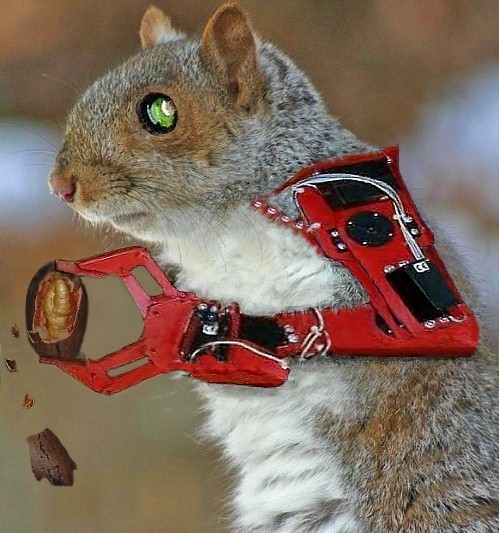 Design Photoshop par TerryLea pour DesignCrowd (Community Contests) | Design #9080553