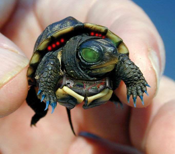 Design Photoshop par Dry_ice pour DesignCrowd (Community Contests) | Design #9080465