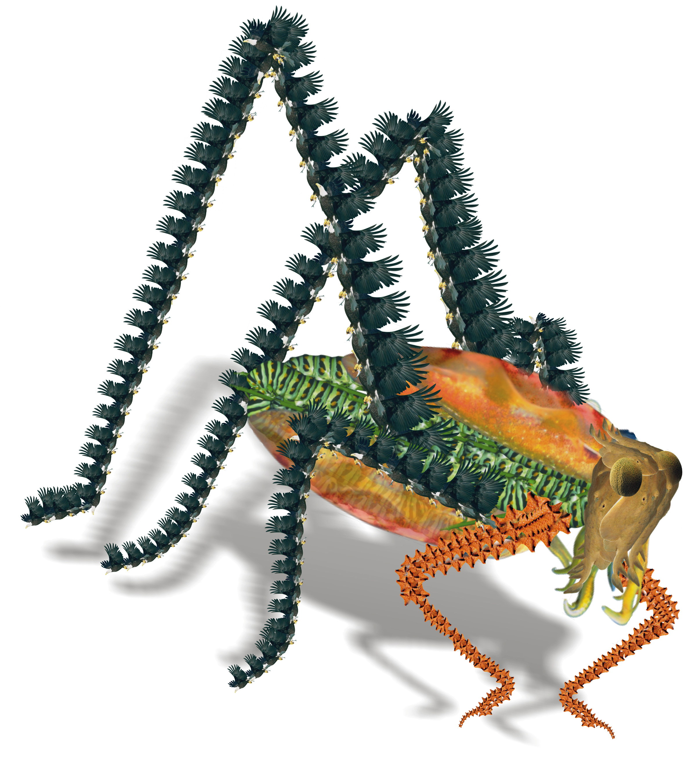 Photoshop Design by ulahts for DesignCrowd (Community Contests) | Design #9107972