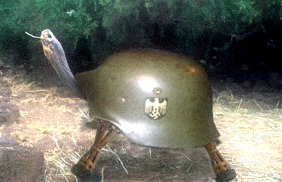 Diseño de Photoshop por nocturnal654 para DesignCrowd (Community Contests) | Diseño #9107967