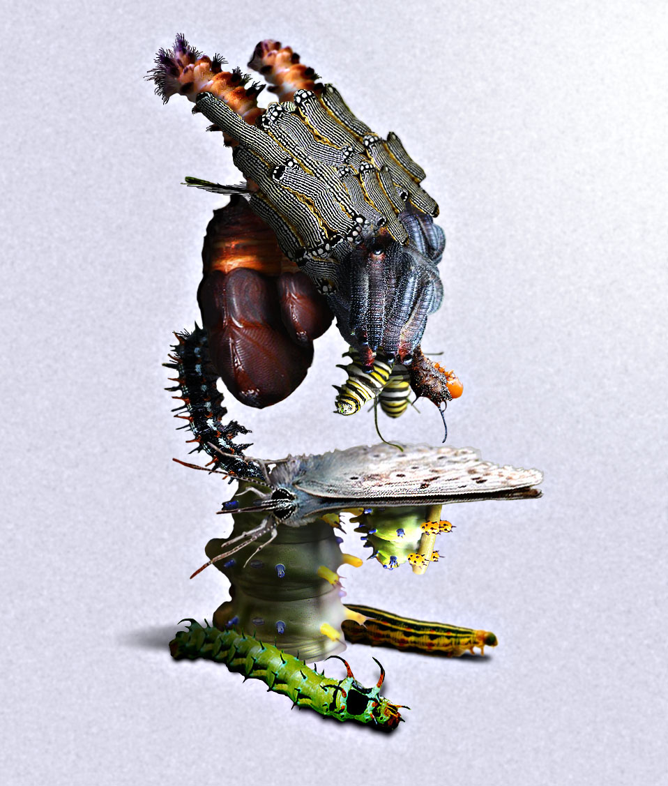 Photoshop Design by jobigoud for DesignCrowd (Community Contests) | Design #9107988
