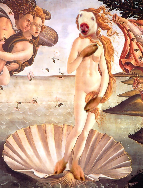 Photoshop Design by Diederick for DesignCrowd (Community Contests) | Design #9104003