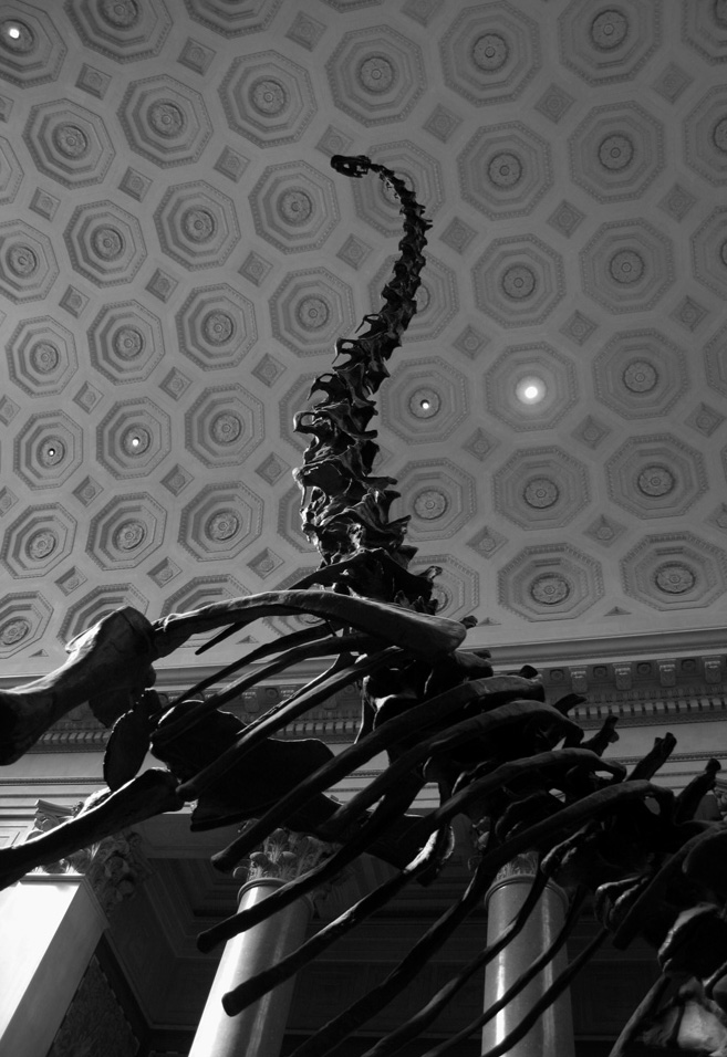 Photography by jiwasz for DesignCrowd (Community Contests) | Design #9081753