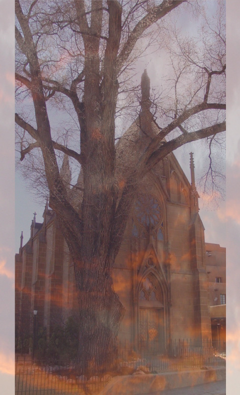Photography by blacknatty for DesignCrowd (Community Contests) | Design #9108460
