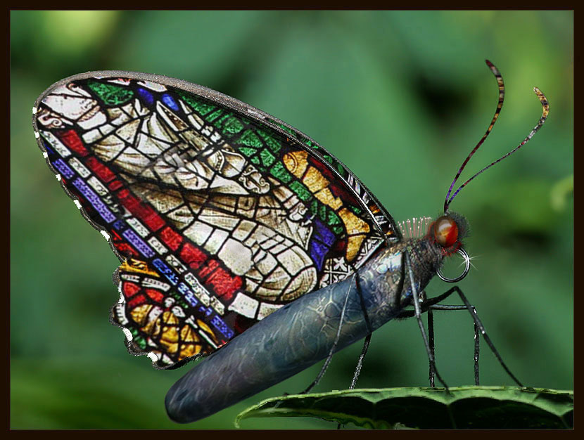 Photoshop Design by michaeltok for DesignCrowd (Community Contests) | Design #9108071