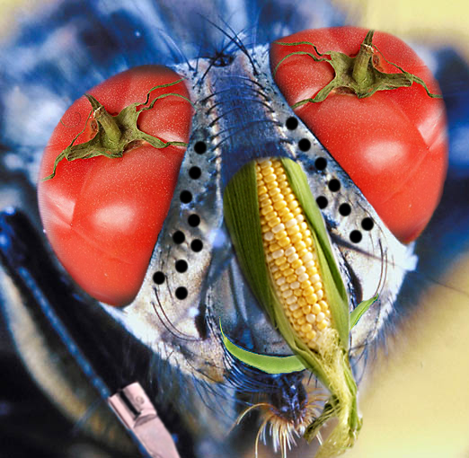 Photoshop Design by robayer for DesignCrowd (Community Contests) | Design #9108047