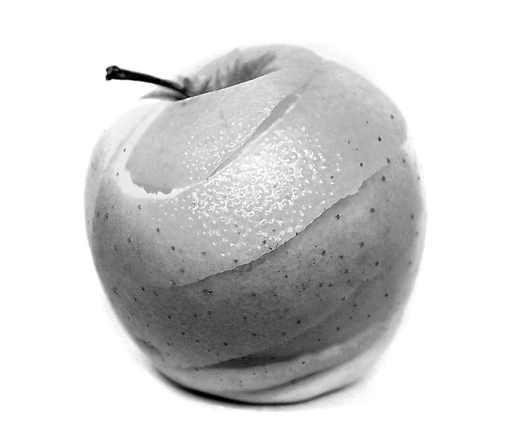 Photography by majd for DesignCrowd (Community Contests) | Design #9108378