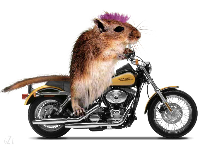 Design Photoshop par godzillatemple pour DesignCrowd (Community Contests) | Design #9104319