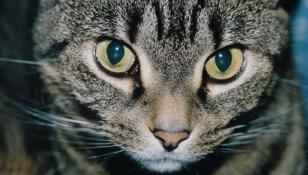 Photography by KCBroadway for DesignCrowd (Community Contests) | Design #9081780