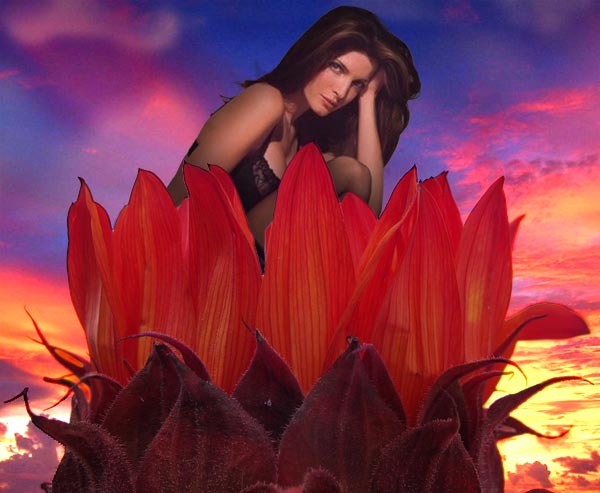 Diseño de Photoshop por dedepira para DesignCrowd (Community Contests) | Diseño #9104341