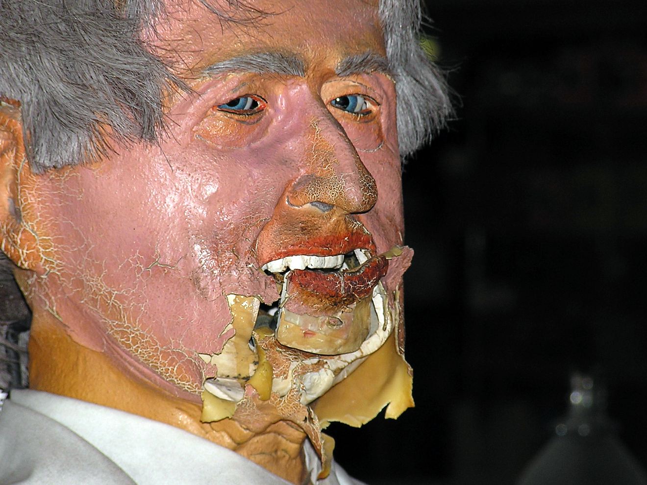 Photography by Tommy1de for DesignCrowd (Community Contests) | Design #9101354