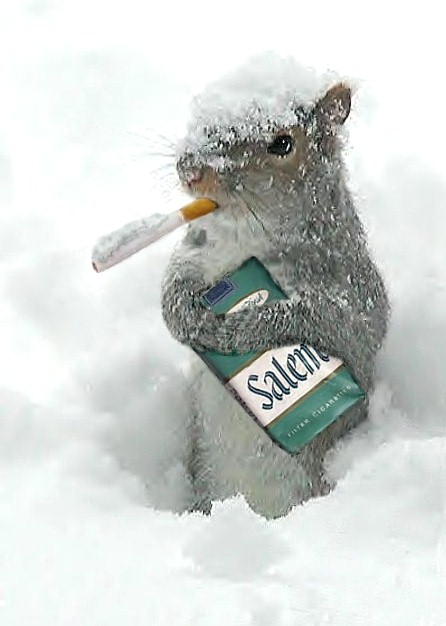 Design Photoshop par TerryLea pour DesignCrowd (Community Contests) | Design #9104540