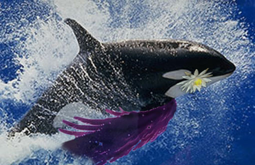 Design Photoshop par rensgallery pour DesignCrowd (Community Contests) | Design #9104518