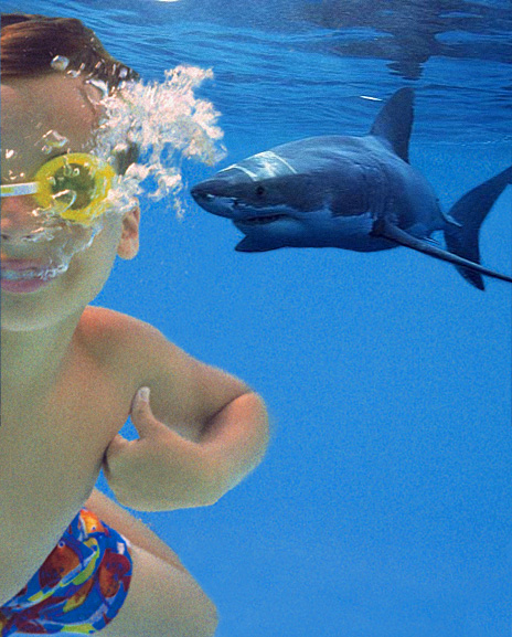 Photoshop Design by Rich87 for DesignCrowd (Community Contests) | Design #9102128