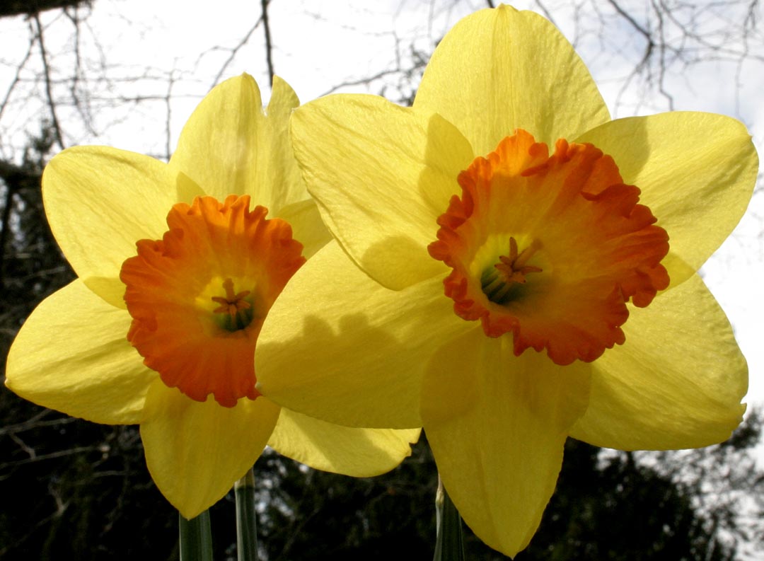 Photography by rdchdwck for DesignCrowd (Community Contests) | Design #9089821