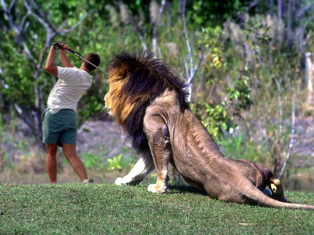 Photoshop Design by Lagnafinme for DesignCrowd (Community Contests) | Design #9102251