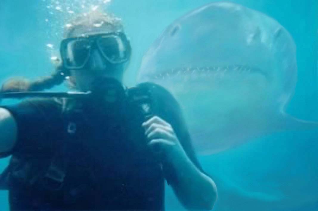 Diseño de Photoshop por wannabe para DesignCrowd (Community Contests) | Diseño #9102293