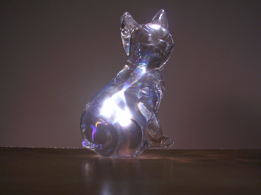 Fotografie von jebaber13 für DesignCrowd (Community Contests) | Design #9089835