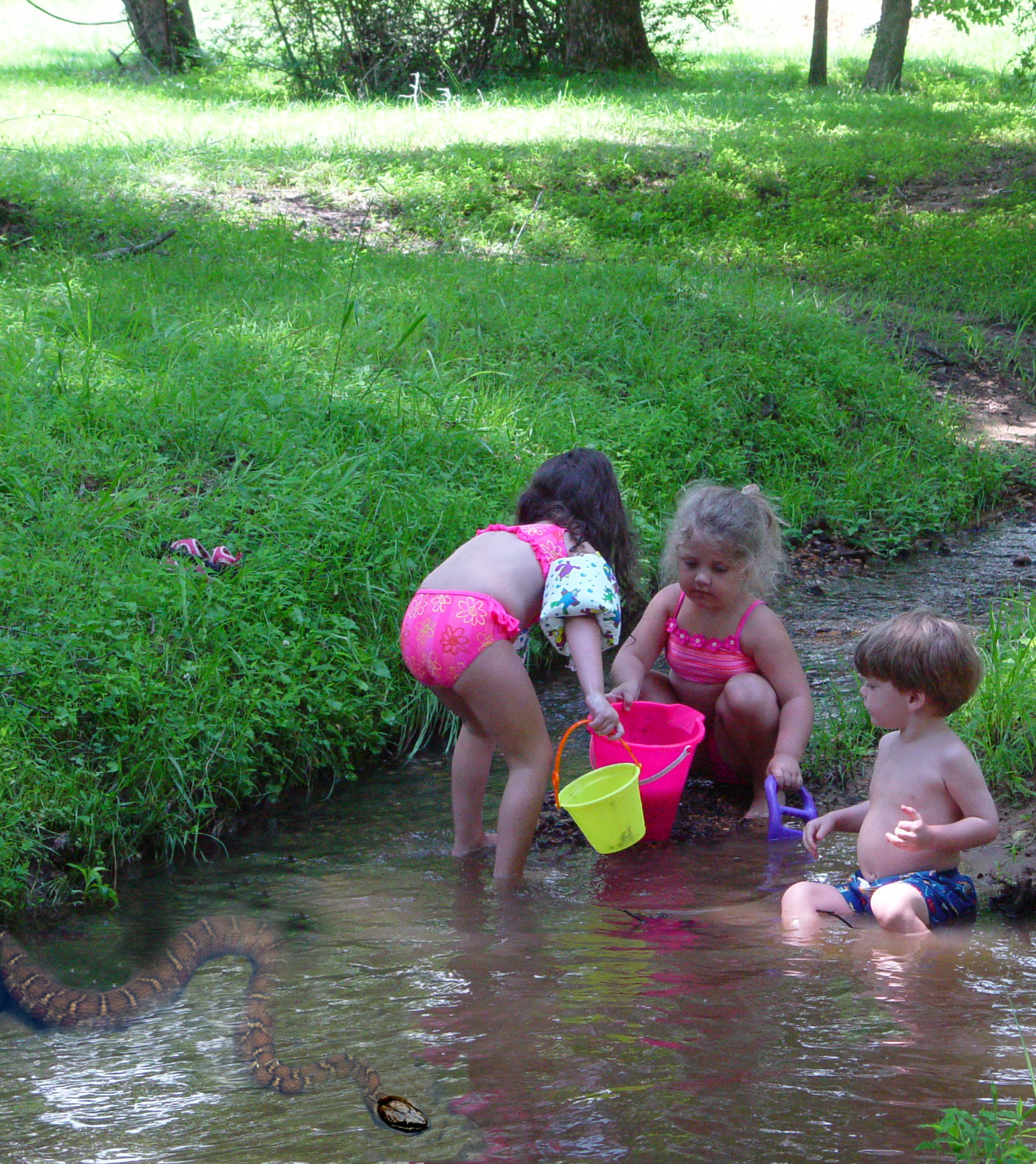 Photoshop Design by modine for DesignCrowd (Community Contests) | Design #9102302