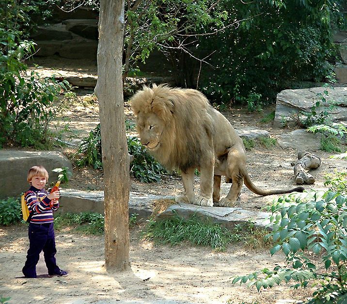 Photoshop Design by eduj65 for DesignCrowd (Community Contests) | Design #9102382