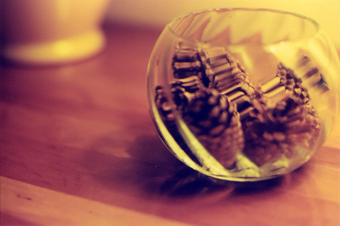 Photographie par AlexL2003 pour DesignCrowd (Community Contests) | Design #9089855