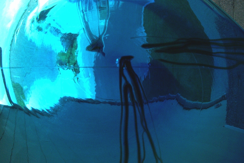 Fotografía por Juntis para DesignCrowd (Community Contests) | Diseño #9089869