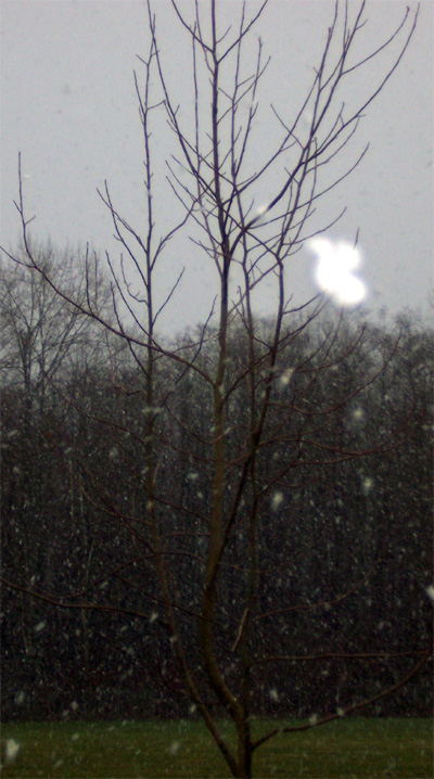 Photography by hephzibah for DesignCrowd (Community Contests) | Design #9103664