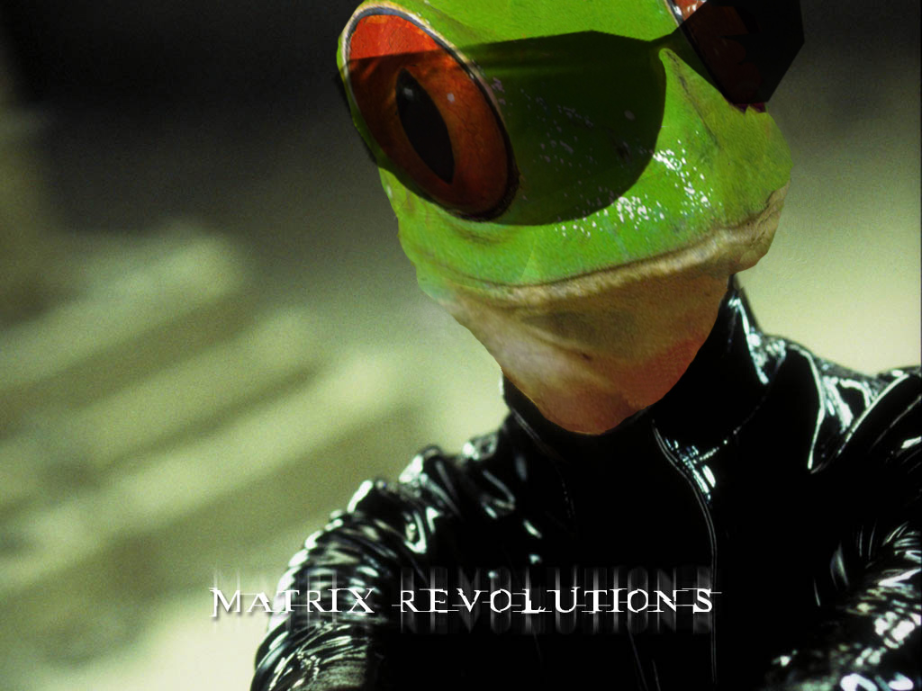 Photoshop-Design von eye2eye für DesignCrowd (Community Contests) | Design #9103886