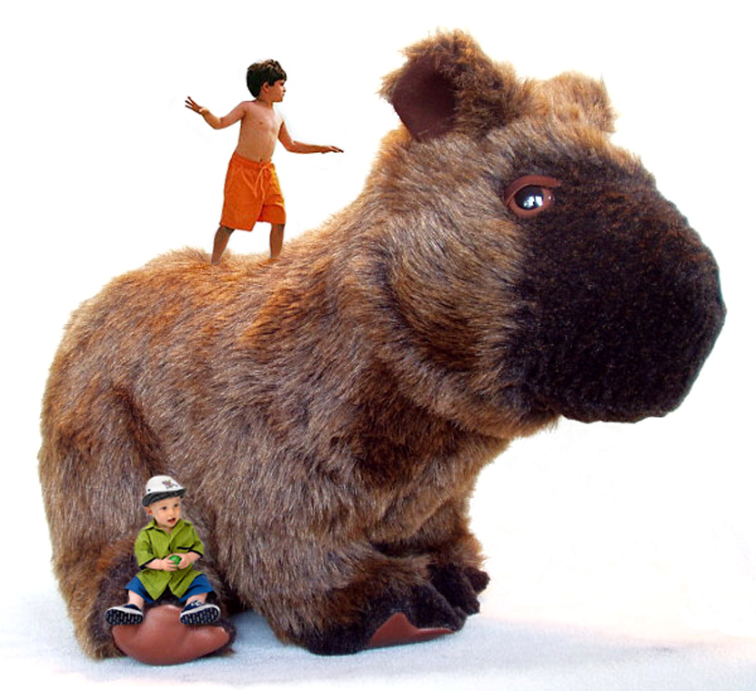 Photoshop-Design von Dziedzic für DesignCrowd (Community Contests) | Design #9100430