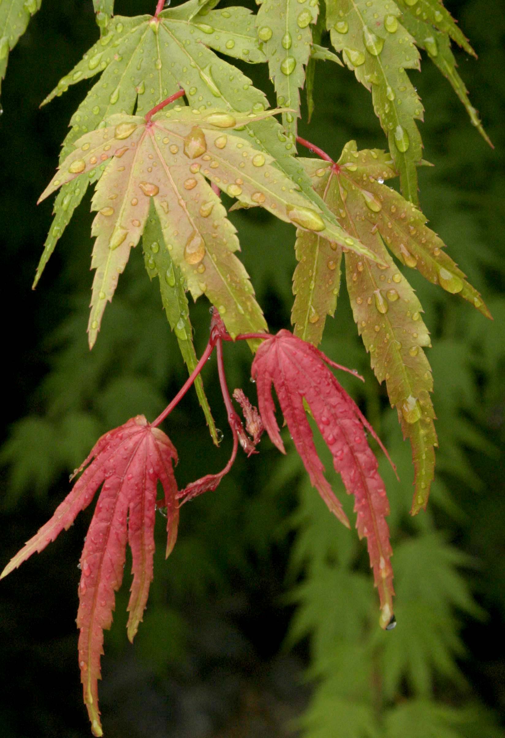 Photography by rdchdwck for DesignCrowd (Community Contests) | Design #9080362