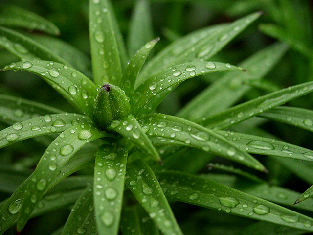 Photography by todmac for DesignCrowd (Community Contests) | Design #9080365