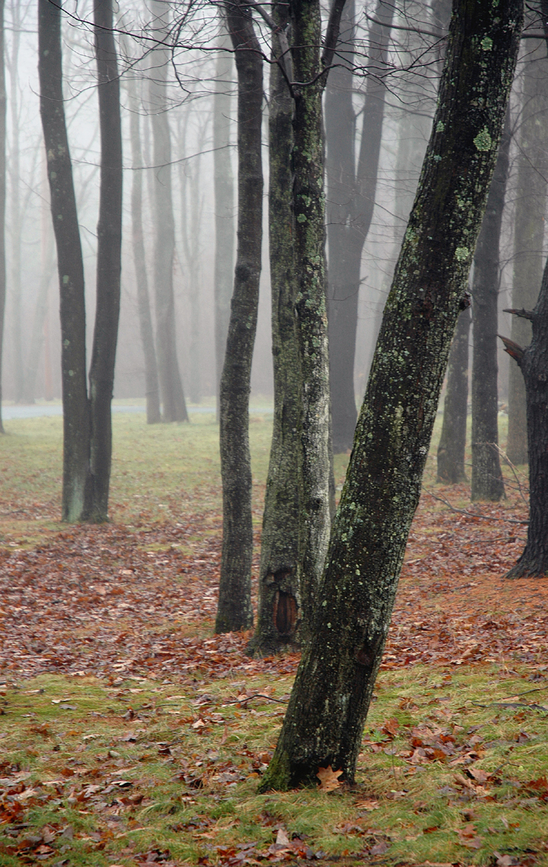 Photographie par squeakers pour DesignCrowd (Community Contests) | Design #9089946