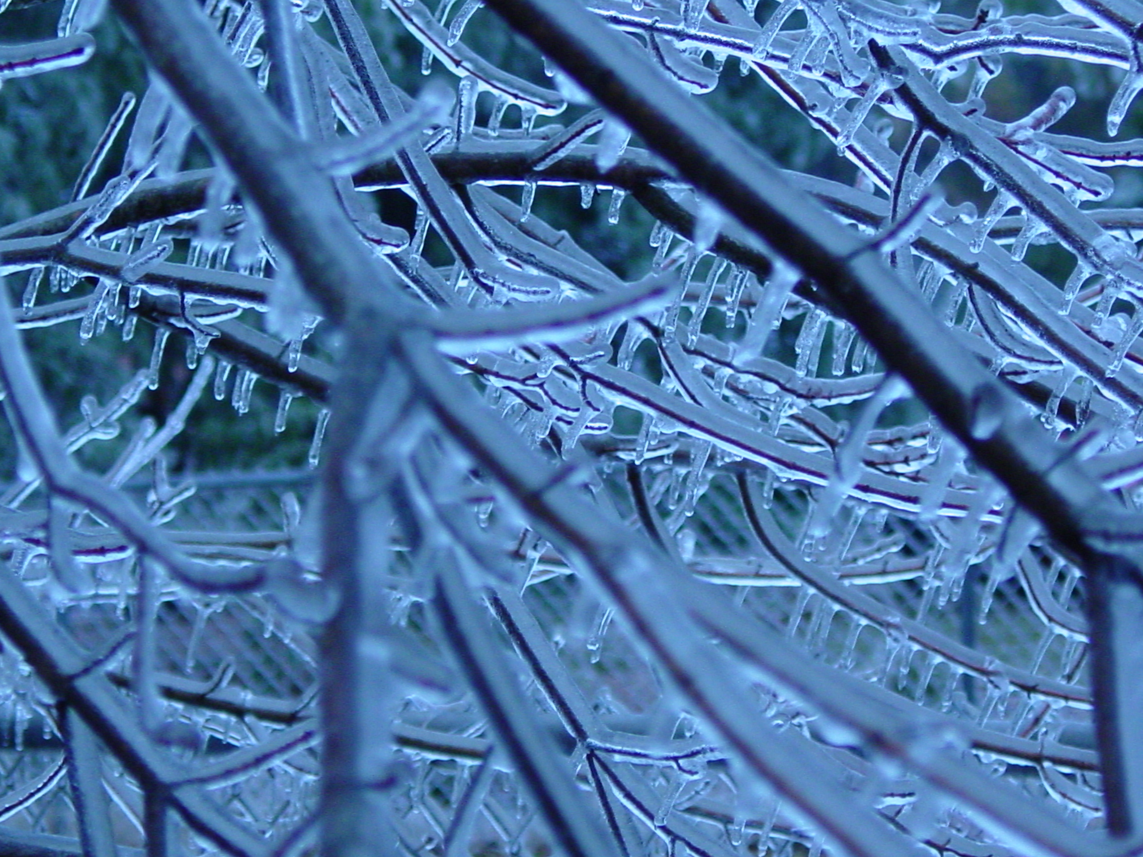 Photography by soulinferno13 for DesignCrowd (Community Contests) | Design #9089924