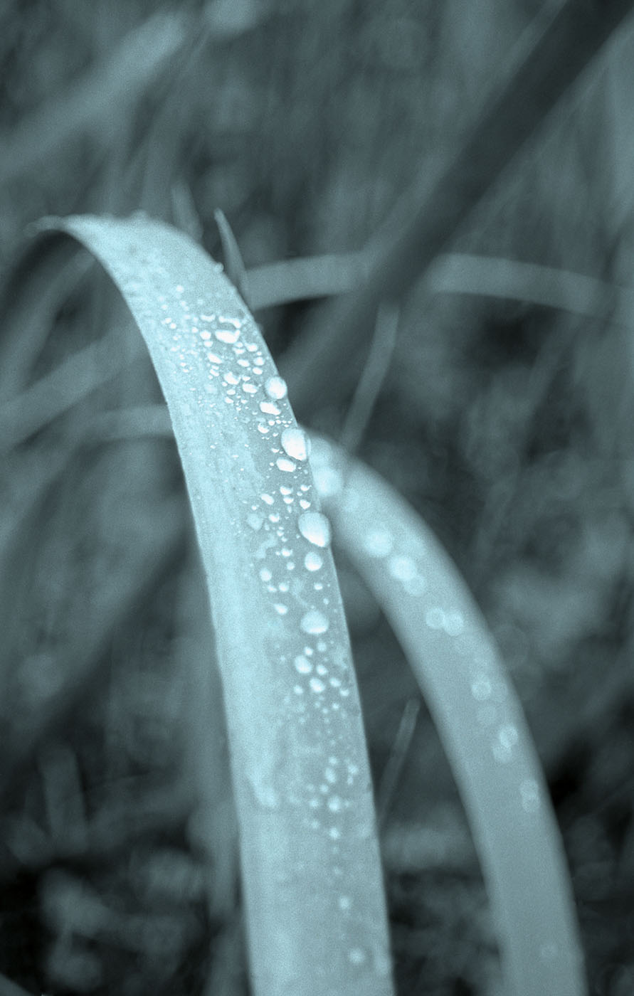 Fotografía por Yippeekiyays para DesignCrowd (Community Contests) | Diseño #9080417